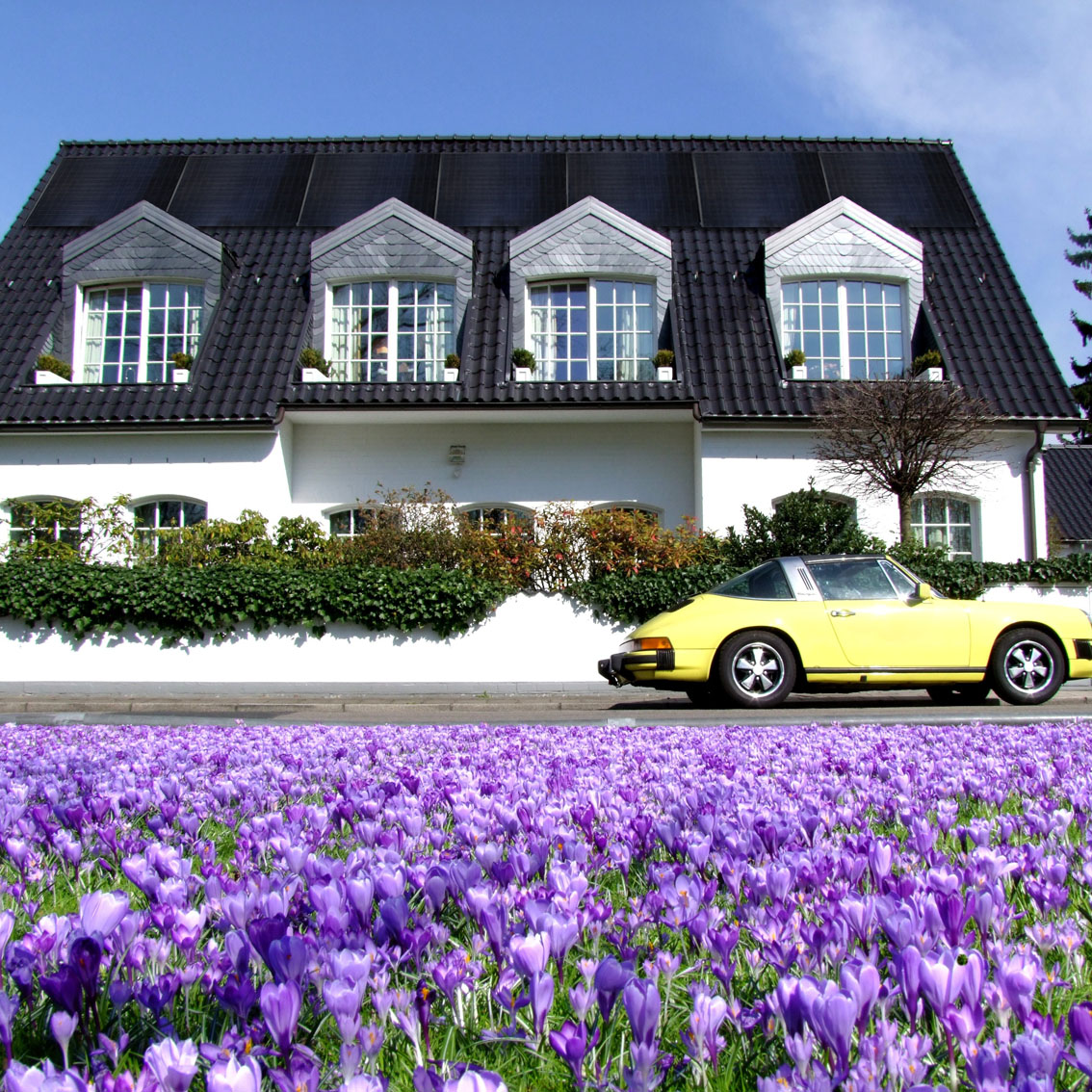 Solaranlage kaufen bei Solarpower Trade GbR spare Energiekosten - Bild